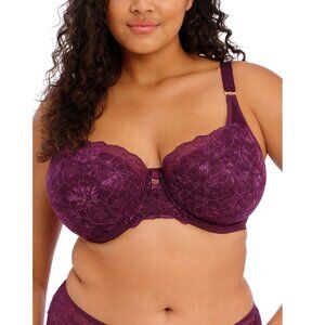 ELOMI LINGERIE Blackberry Full Figure Brianna Underwire Padded Bra
